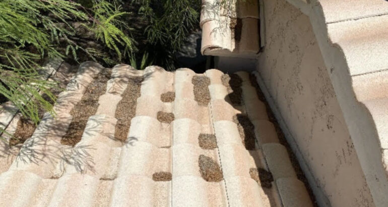 Debris on tile roofs should be cleaned off regularly to facilitate water run off